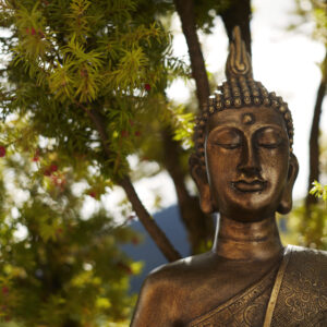 Fotoshooting Oktover 2016